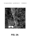 QUANTUM DOTS NUCLEATION LAYER OF LATTICE MISMATCHED EPITAXY diagram and image