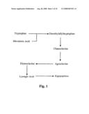 Method of introducing symbiotic fungus into plant diagram and image