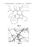 Method of introducing symbiotic fungus into plant diagram and image