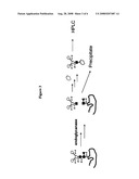 MANUFACTURING PROCESS FOR THE PRODUCTION OF POLYPEPTIDES EXPRESSED IN INSECT CELL-LINES diagram and image