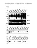 HYDROLASE AND METHODS FOR ITS USE diagram and image