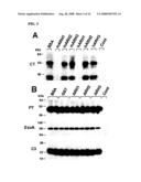 HYDROLASE AND METHODS FOR ITS USE diagram and image