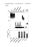 HYDROLASE AND METHODS FOR ITS USE diagram and image