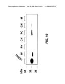 HYDROLASE AND METHODS FOR ITS USE diagram and image