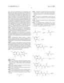 METHOD FOR INHIBITING PROLIFERATION OF TUMOR CELLS diagram and image