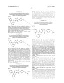 METHOD FOR INHIBITING PROLIFERATION OF TUMOR CELLS diagram and image