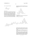 Synthesis and Purification of Pteroic Acid and Conjugates Thereof diagram and image