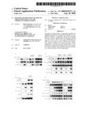 Diagnosis and treatment of diseases arising from defects in the tuberous sclerosis pathway diagram and image