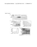 Diagnosis and treatment of diseases arising from defects in the tuberous sclerosis pathway diagram and image