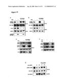 Diagnosis and treatment of diseases arising from defects in the tuberous sclerosis pathway diagram and image