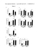 Diagnosis and treatment of diseases arising from defects in the tuberous sclerosis pathway diagram and image