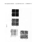 Diagnosis and treatment of diseases arising from defects in the tuberous sclerosis pathway diagram and image