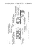 Methods and compositions for using zinc finger endonucleases to enhance homologous recombination diagram and image