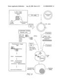 Methods and compositions for using zinc finger endonucleases to enhance homologous recombination diagram and image