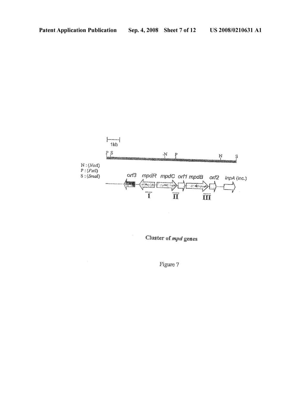 Polypeptides Having an Activity in the Mtbe Degradation Path and Uses Thereof - diagram, schematic, and image 08