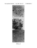 Magnetic Core - Ceramic Shell Nanocrystals and Manufacturing Method Thereof diagram and image