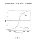 Magnetic Core - Ceramic Shell Nanocrystals and Manufacturing Method Thereof diagram and image