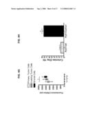 Use of Endogenous Fluorescence to Identify Invading Metastatic Breast Tumor Cells diagram and image