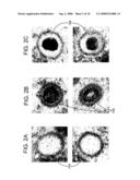 Identification and Classification of Virus Particles in Textured Electron Micrographs diagram and image