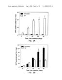 Compounds and methods to enhance rAAV transduction diagram and image