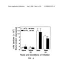 Compounds and methods to enhance rAAV transduction diagram and image