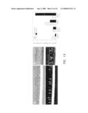 Compounds and methods to enhance rAAV transduction diagram and image