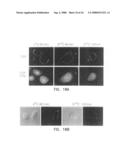 Compounds and methods to enhance rAAV transduction diagram and image