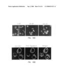 Compounds and methods to enhance rAAV transduction diagram and image