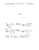 Use of Retro-Aldol Reaction to Generate Reactive Vinyl Ketone for Attachment to Antibody Molecules by Michael Addition Reaction for Use in Immunostaining and Immunotargeting diagram and image