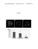 Use of Retro-Aldol Reaction to Generate Reactive Vinyl Ketone for Attachment to Antibody Molecules by Michael Addition Reaction for Use in Immunostaining and Immunotargeting diagram and image