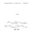 Use of Retro-Aldol Reaction to Generate Reactive Vinyl Ketone for Attachment to Antibody Molecules by Michael Addition Reaction for Use in Immunostaining and Immunotargeting diagram and image