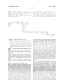 Use of Retro-Aldol Reaction to Generate Reactive Vinyl Ketone for Attachment to Antibody Molecules by Michael Addition Reaction for Use in Immunostaining and Immunotargeting diagram and image