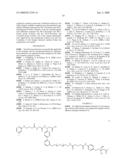 Use of Retro-Aldol Reaction to Generate Reactive Vinyl Ketone for Attachment to Antibody Molecules by Michael Addition Reaction for Use in Immunostaining and Immunotargeting diagram and image