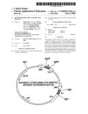 Method for Treating CCR4-Related Diseases diagram and image