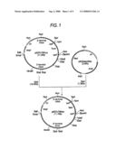 Method for Treating CCR4-Related Diseases diagram and image