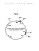 Method for Treating CCR4-Related Diseases diagram and image