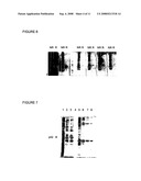 Malaria MSP-1 C-terminal enhanced subunit vaccine diagram and image