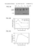 Delivery of Nanoparticles and/or Agents to Cells diagram and image