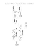 Delivery of Nanoparticles and/or Agents to Cells diagram and image