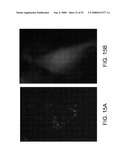 Delivery of Nanoparticles and/or Agents to Cells diagram and image