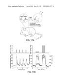 Delivery of Nanoparticles and/or Agents to Cells diagram and image