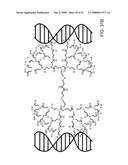 Delivery of Nanoparticles and/or Agents to Cells diagram and image