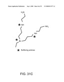 Delivery of Nanoparticles and/or Agents to Cells diagram and image