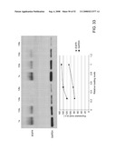 Delivery of Nanoparticles and/or Agents to Cells diagram and image