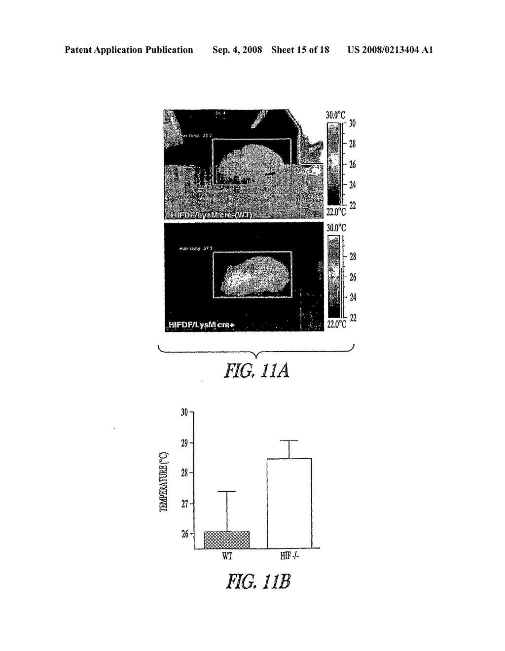 Hif Modulating Compounds and Methods of Use Thereof - diagram, schematic, and image 16