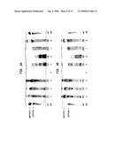 Compositions and methods for enhancing cognitive function diagram and image