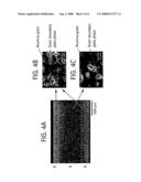 Graded glass/ceramic/glass structures for damage resistant ceramic dental and orthopedic prostheses diagram and image