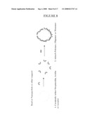 FLUORESCENT POLYMER SUPERQUENCHING-BASED BIOASSAYS diagram and image