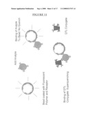 FLUORESCENT POLYMER SUPERQUENCHING-BASED BIOASSAYS diagram and image