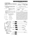 Methods of Distinguishing Types of Spinal Neurons Using Corl1 Gene as an Indicator diagram and image